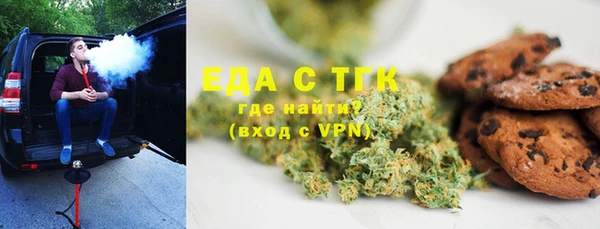 хмурый Аркадак