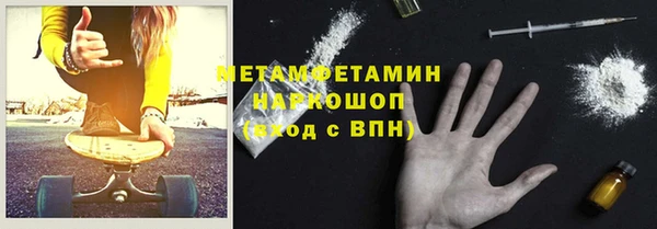хмурый Аркадак