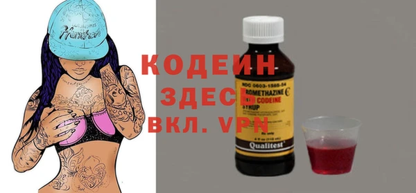 хмурый Аркадак