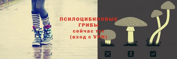 эйфоретик Арсеньев