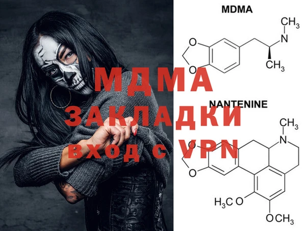 хмурый Аркадак