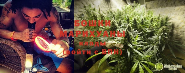 хмурый Аркадак