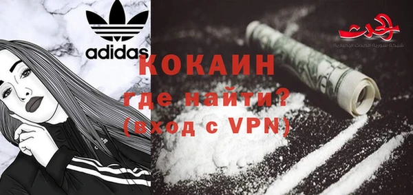 хмурый Аркадак