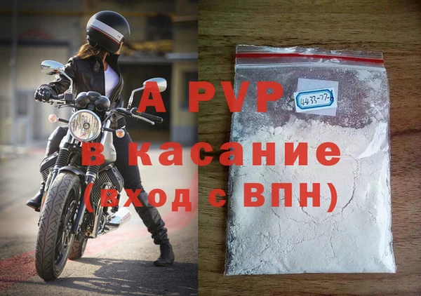 эйфоретик Арсеньев