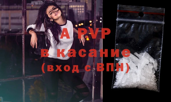 хмурый Аркадак