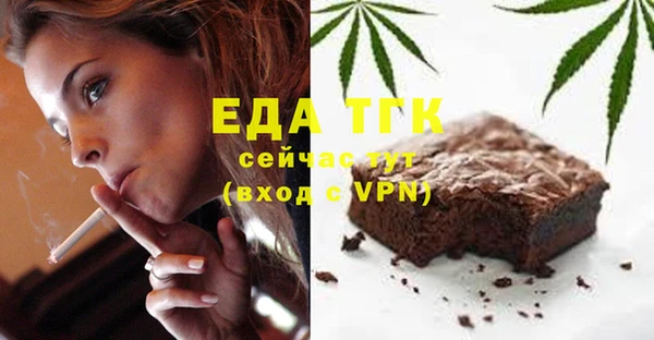 хмурый Аркадак