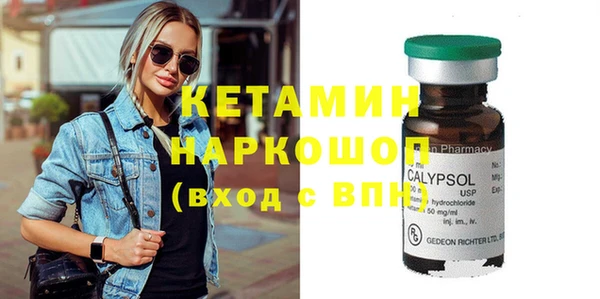 хмурый Аркадак