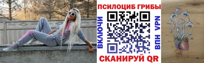 Псилоцибиновые грибы Psilocybine cubensis  хочу   дарк нет официальный сайт  Таруса 
