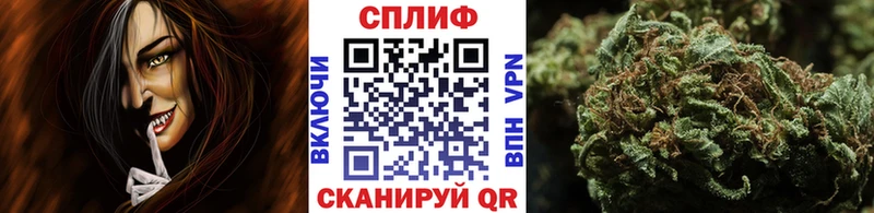 Бошки Шишки VHQ  Таруса 